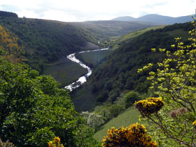 view upstream of Berriedale Water